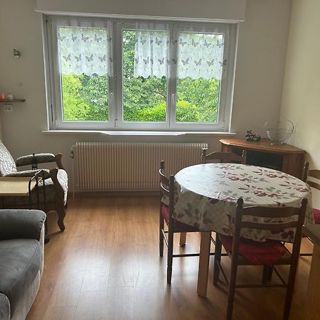 Superbe Maison 3 Chambres 1 Etage Et Sous-Sol, Avec Jardin Et Terrasse Altkirch Bagian luar foto