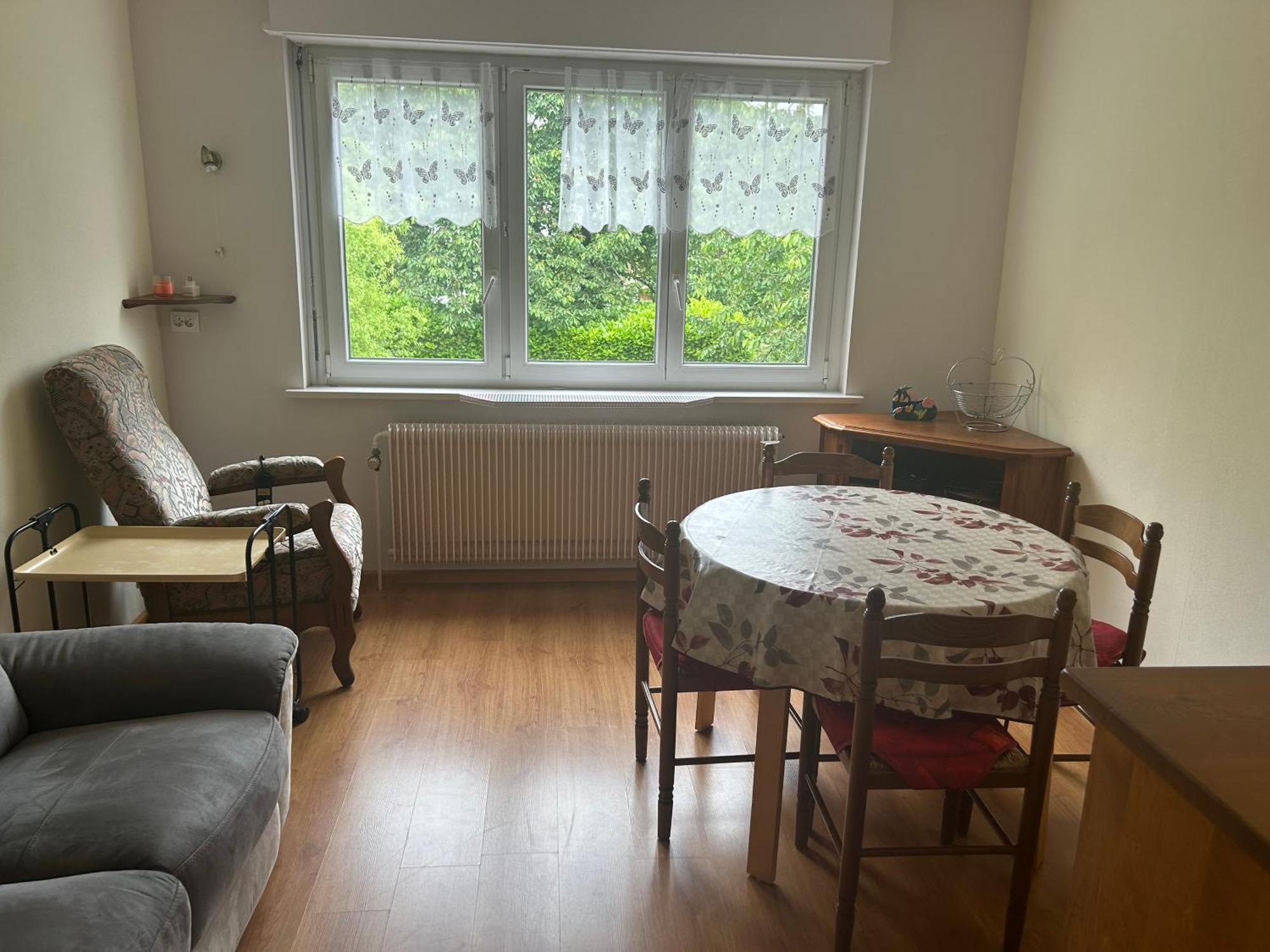 Superbe Maison 3 Chambres 1 Etage Et Sous-Sol, Avec Jardin Et Terrasse Altkirch Bagian luar foto